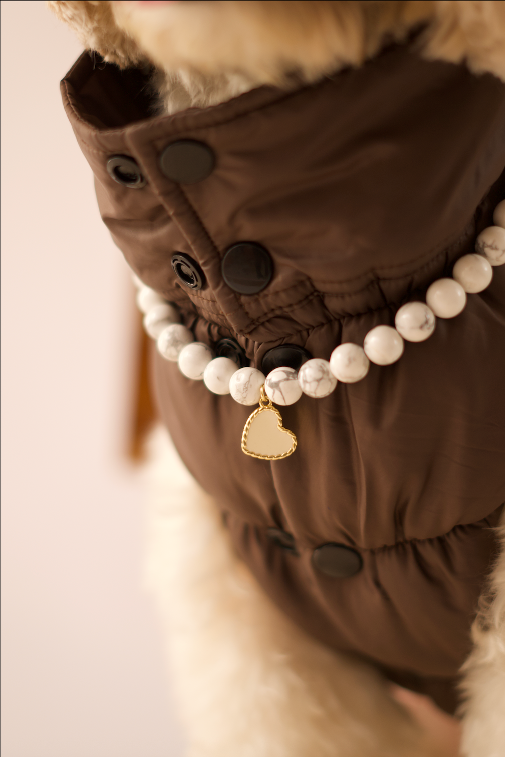 Dog wearing a white marble necklace with a heart pendant