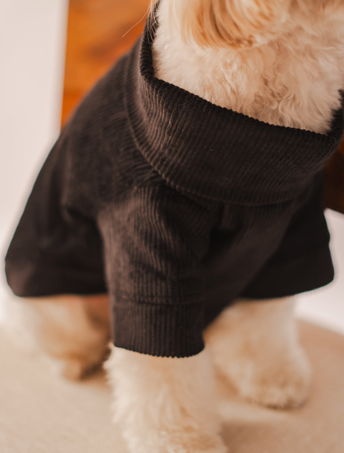 Velvet Corduroy Sweatshirt in Black – close-up