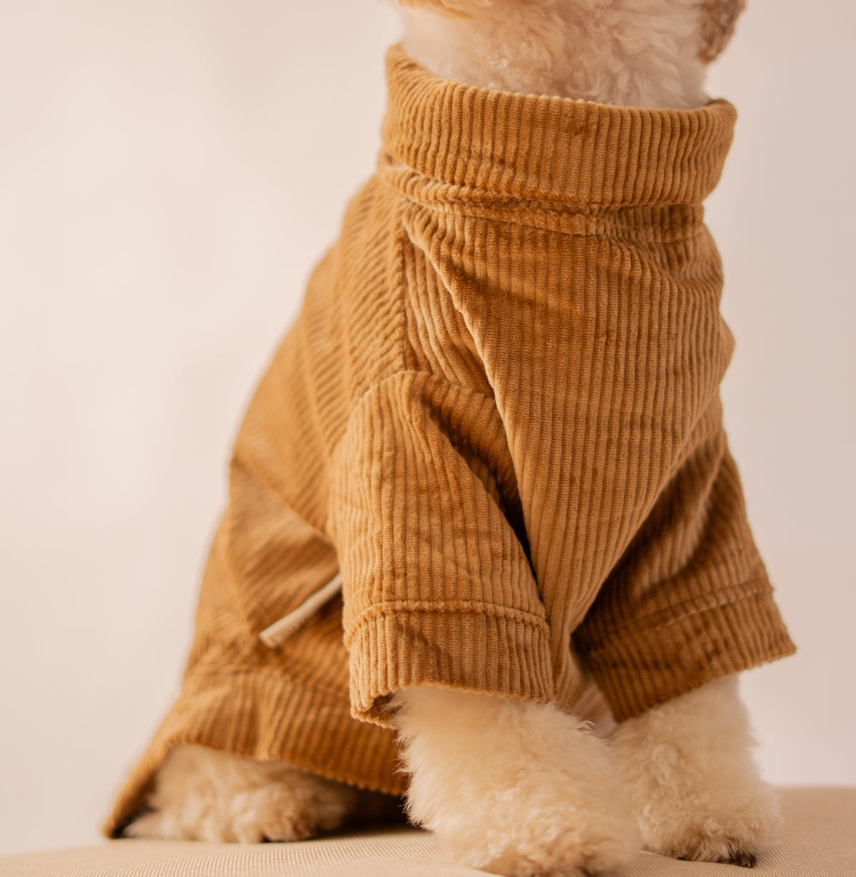 Velvet Corduroy Sweatshirt in Brown – close-up