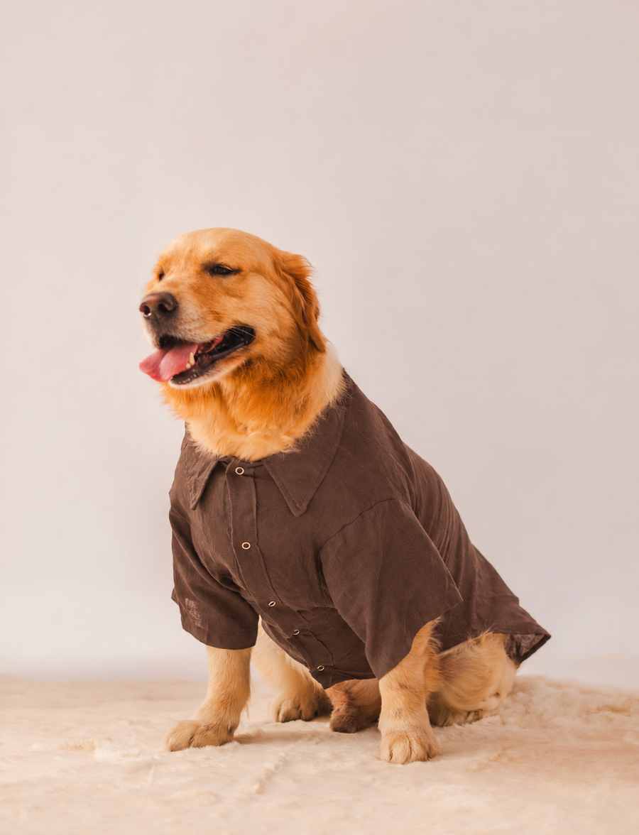 Linen Shirt
