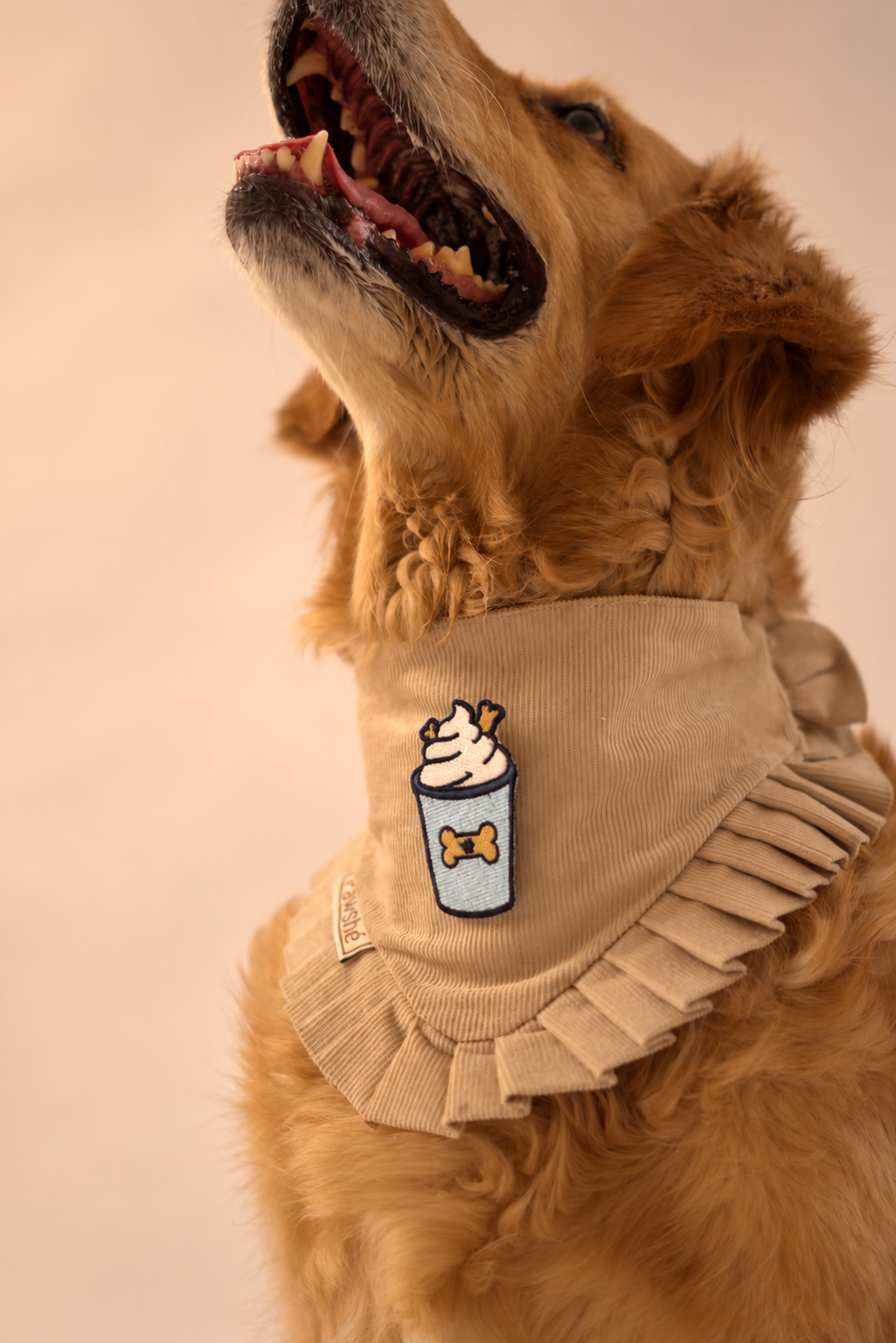 Corduroy Bandana in Cream with velcro patch – Puppuccino patch, view 2