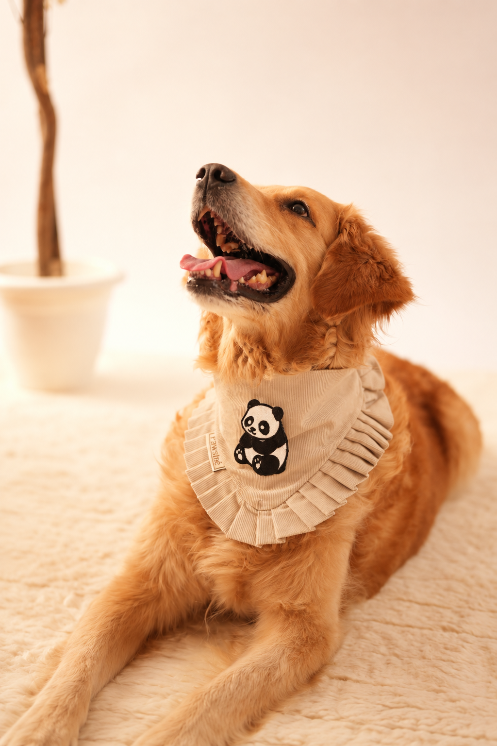 Corduroy Bandana in Cream with velcro patch – Panda patch