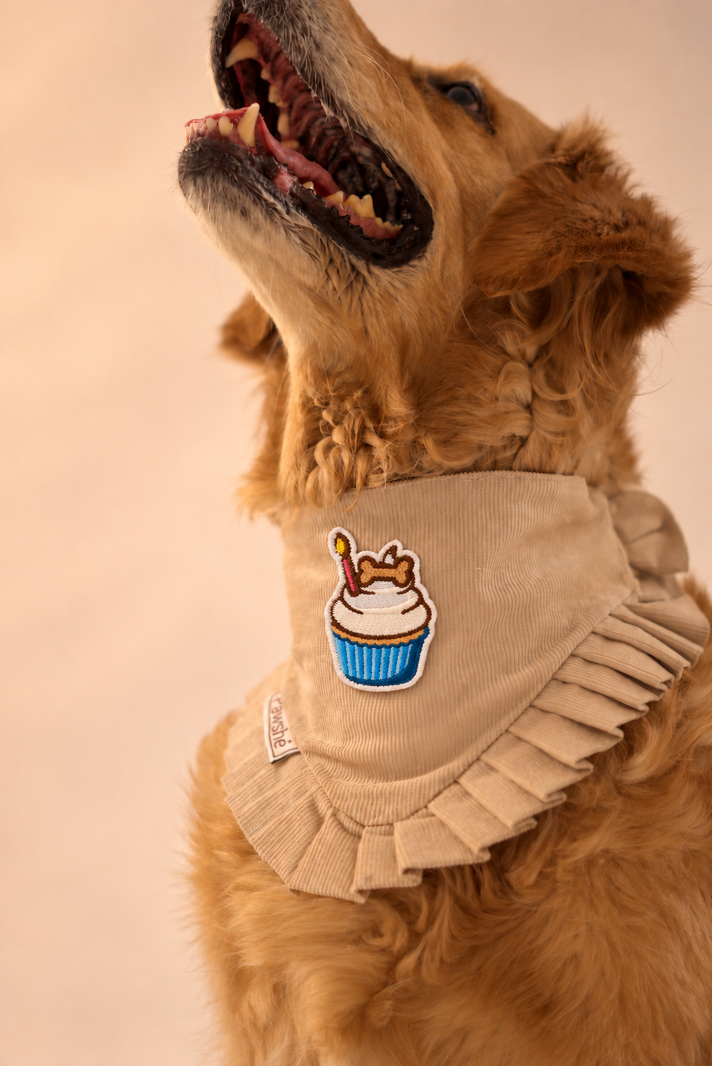 Corduroy Bandana in Cream with velcro patch – Cupcake patch