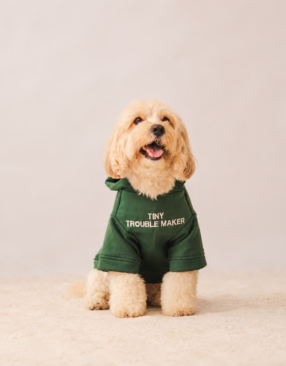 Hoodie in Olive Green on a dog – Tiny Trouble Maker embroidery, view 2