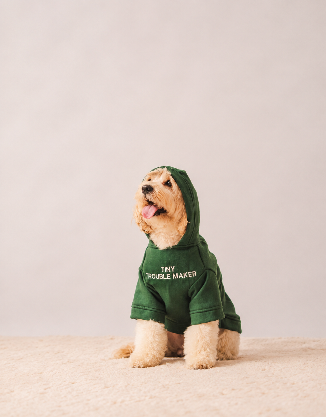 Hoodie in Olive Green on a dog – Tiny Trouble Maker embroidery, view 3