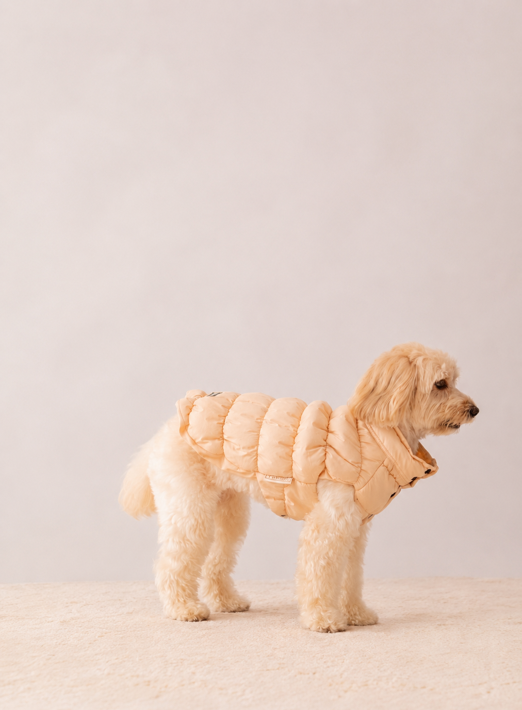 Puffer Jacket in Cream on a dog – view 4