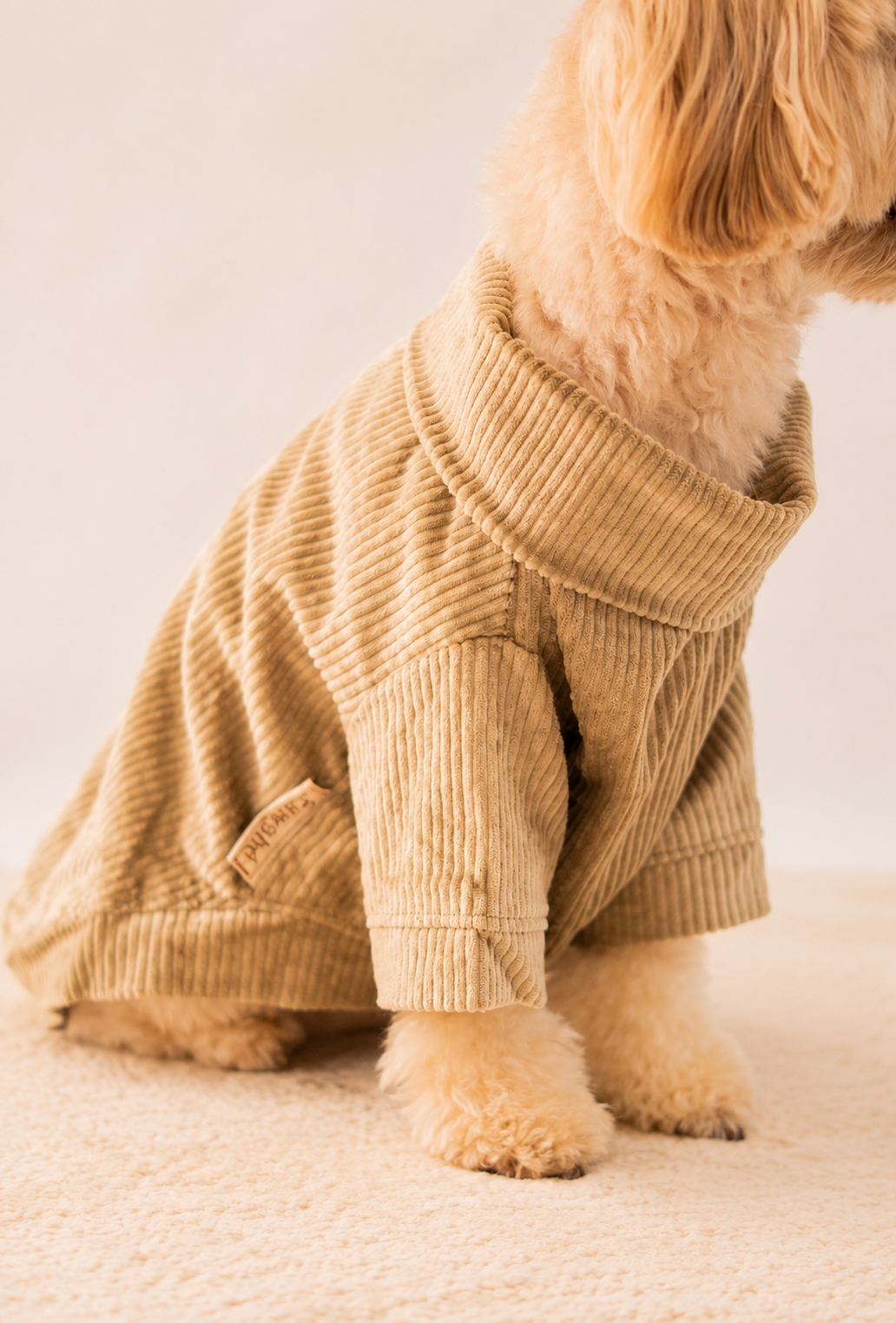 Velvet Corduroy Sweatshirt in Khaki Grey on a dog – view 4