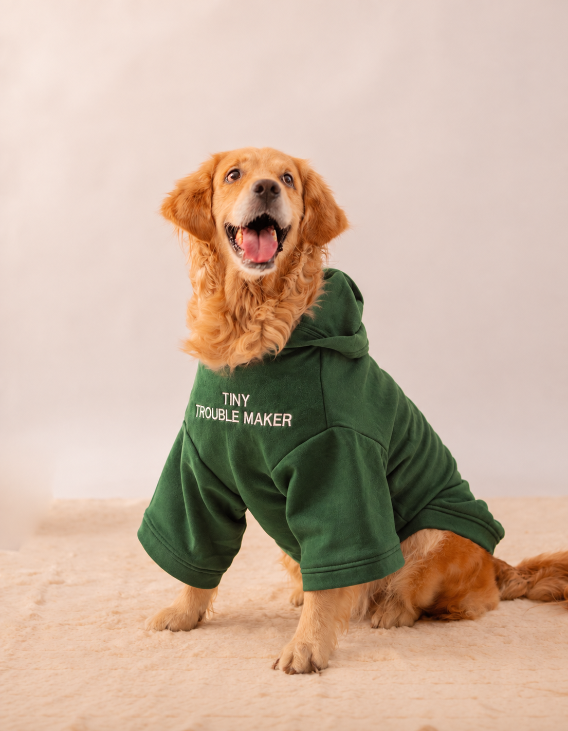 Hoodie in Olive Green on a dog – Tiny Trouble Maker embroidery