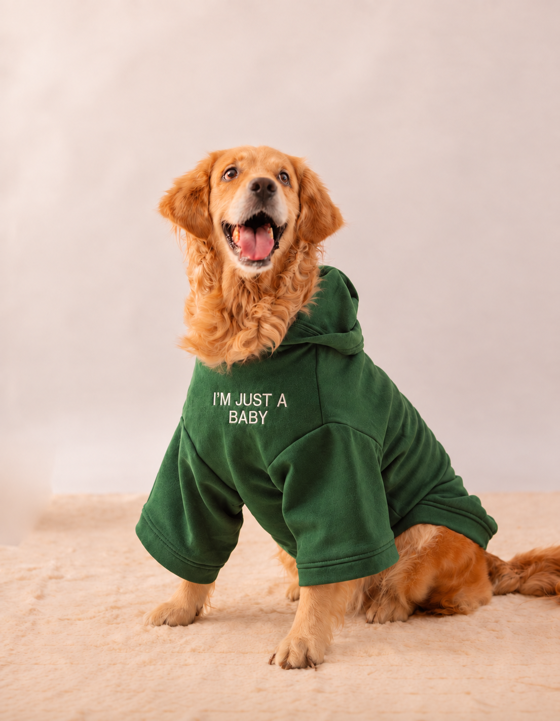 Hoodie in Olive Green on a dog – I'm Just A Baby embroidery