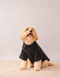 Linen Shirt in Black Linen on a dog