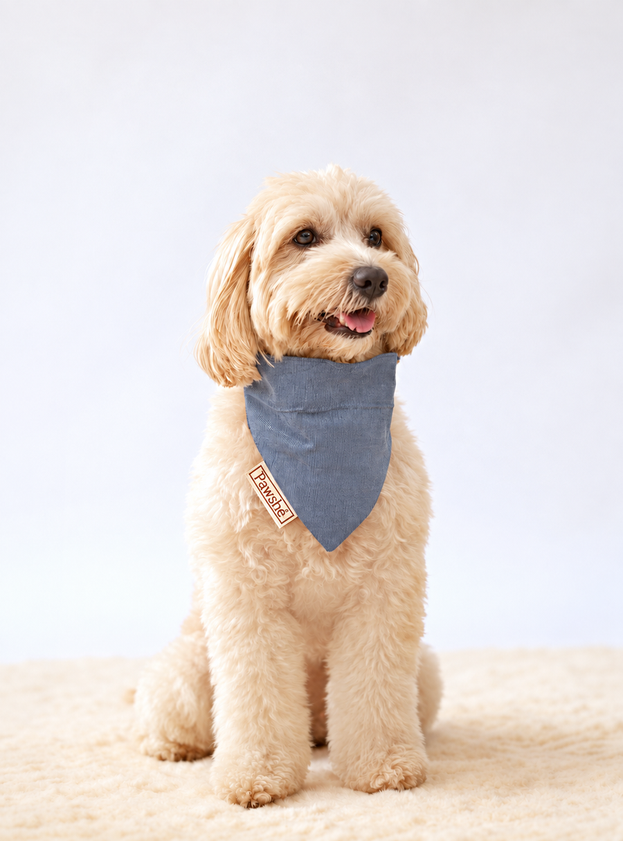 Corduroy Bandana