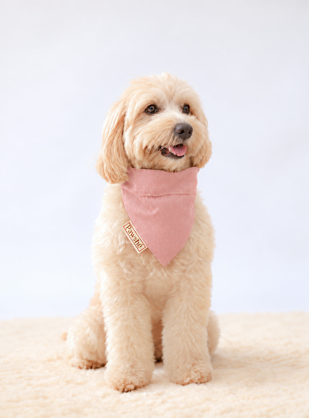 Corduroy Bandana in Baby Pink on a dog – plain