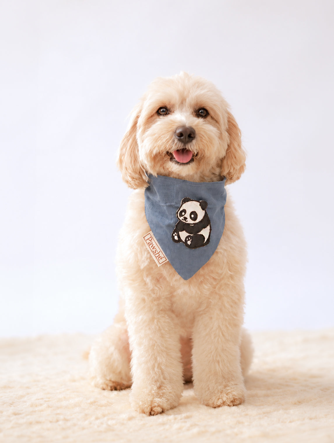 Corduroy Bandana in Light Blue with velcro patch – Panda patch
