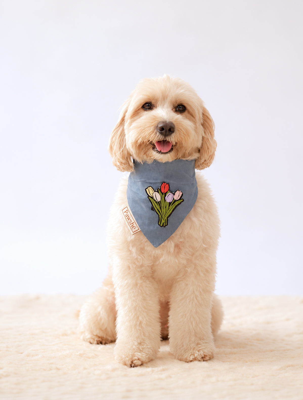 Corduroy Bandana in Light Blue with velcro patch – Flowers patch
