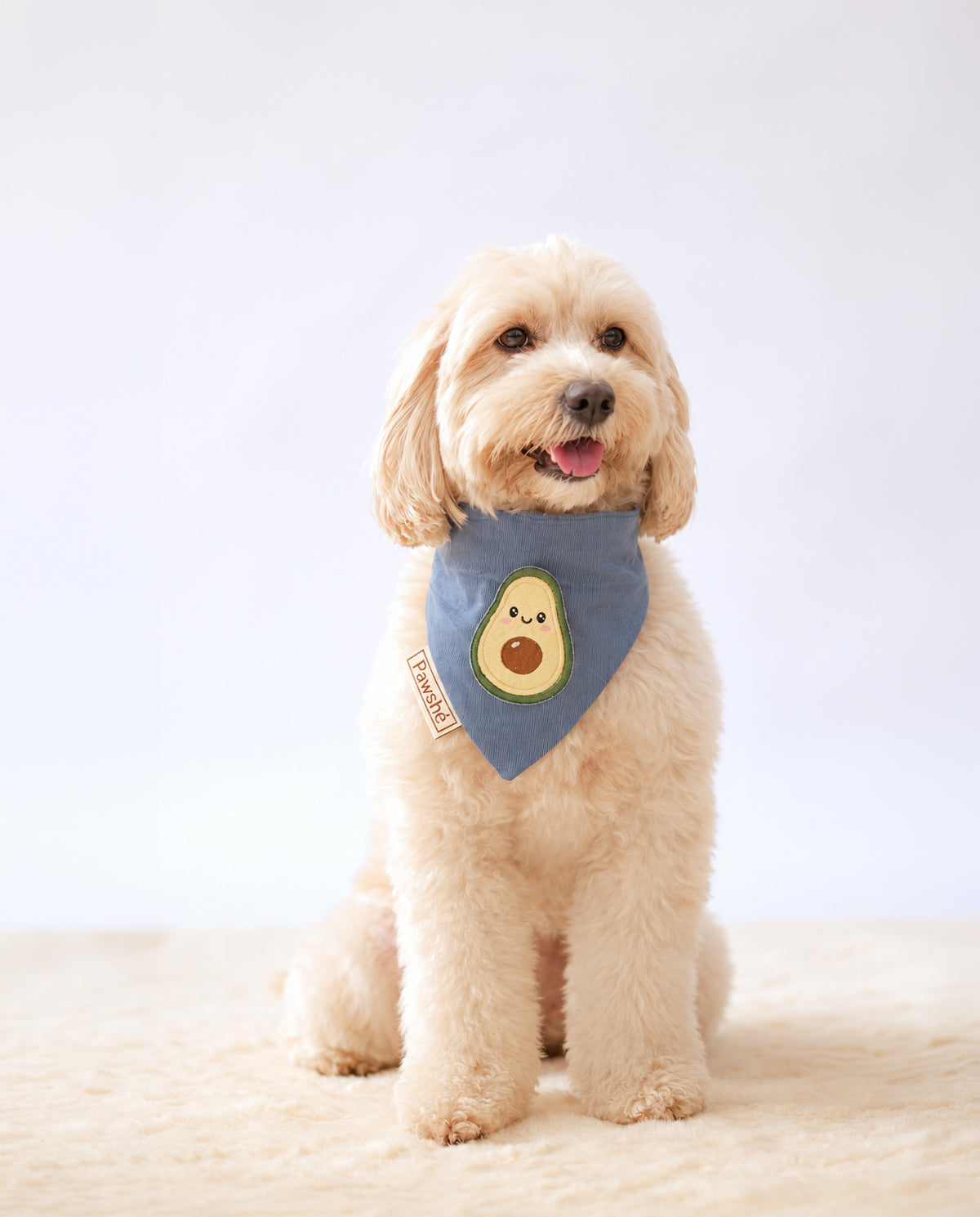 Corduroy Bandana in Light Blue with velcro patch – Avocado patch