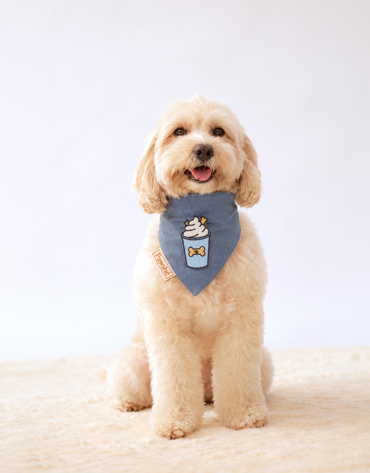Corduroy Bandana in Light Blue with velcro patch – Puppuccino patch