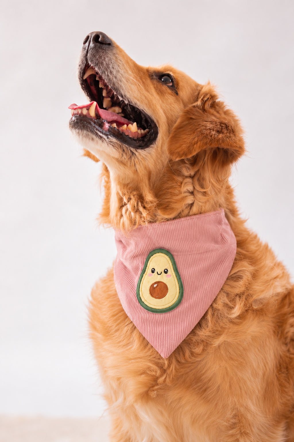 Corduroy Bandana in Baby Pink with velcro patch – Avocado patch, close-up