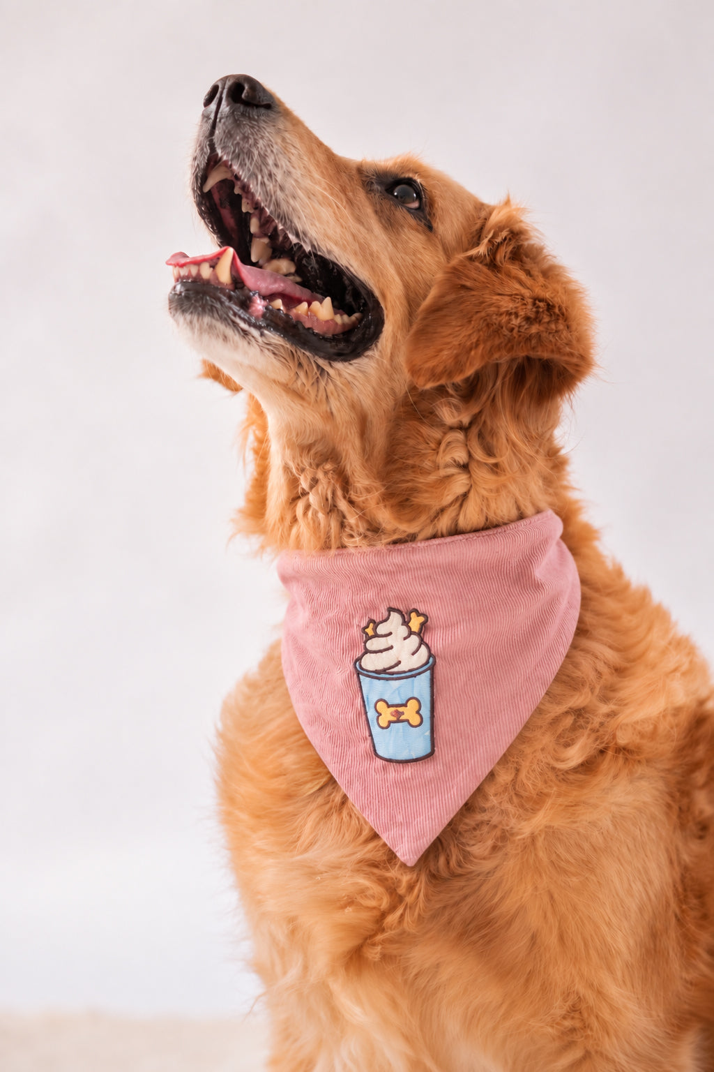 Corduroy Bandana in Baby Pink with velcro patch – Puppuccino patch, close-up