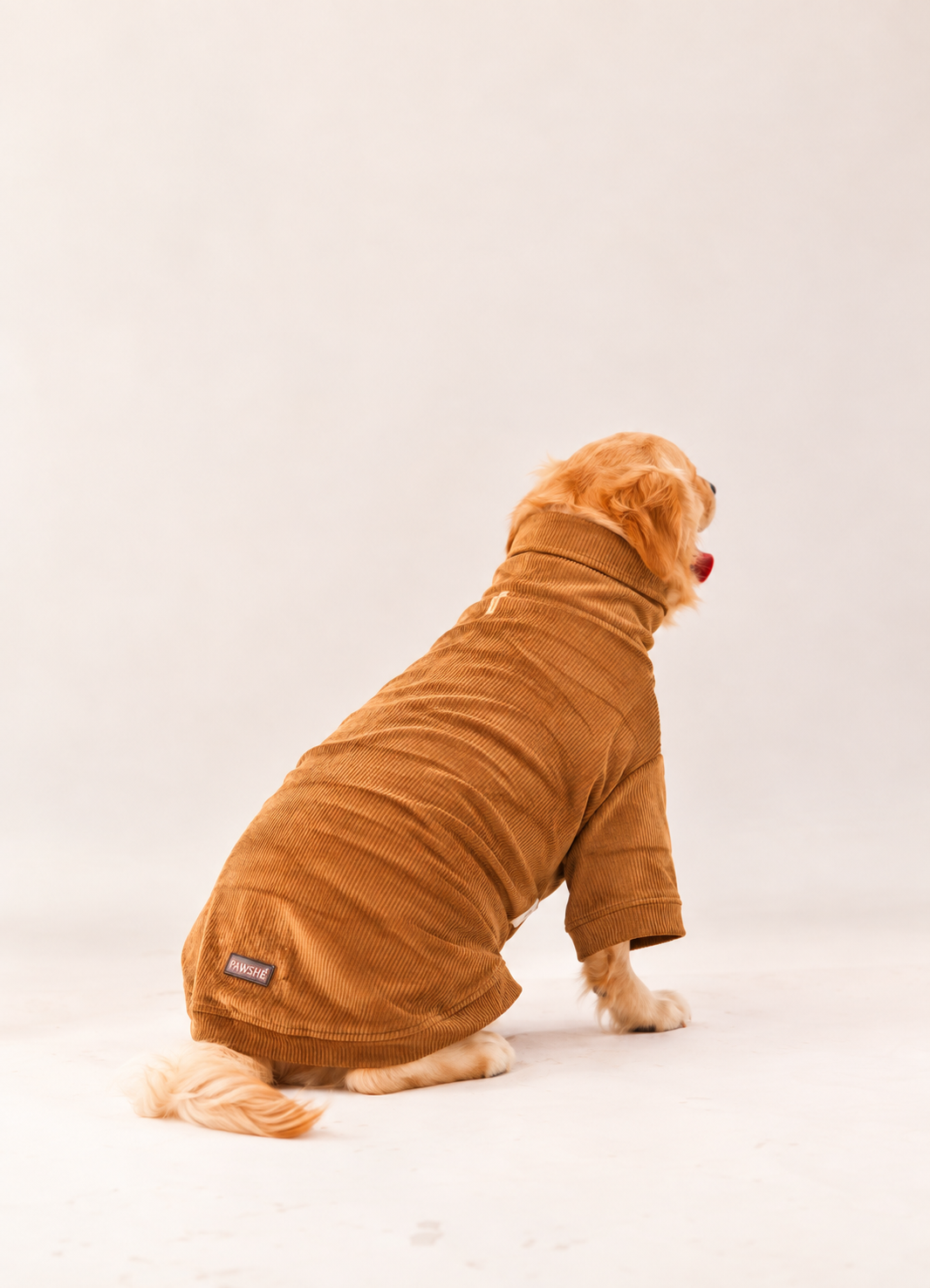 Velvet Corduroy Sweatshirt in Brown on a dog – back view