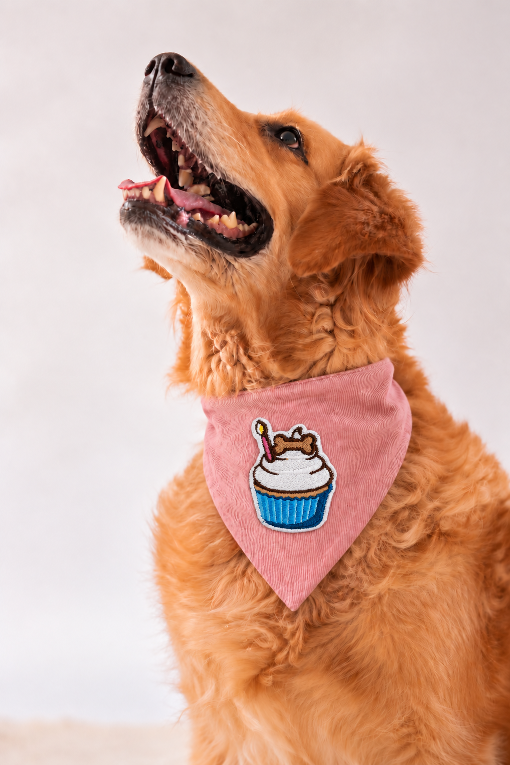 Corduroy Bandana in Baby Pink with velcro patch – Cupcake patch