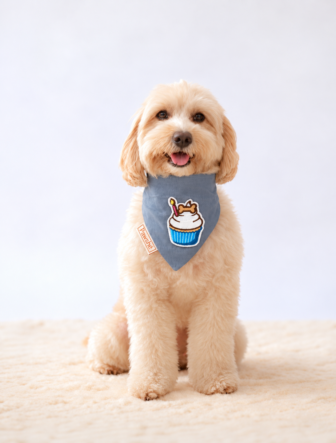 Corduroy Bandana in Light Blue with velcro patch – Cupcake patch, view 2