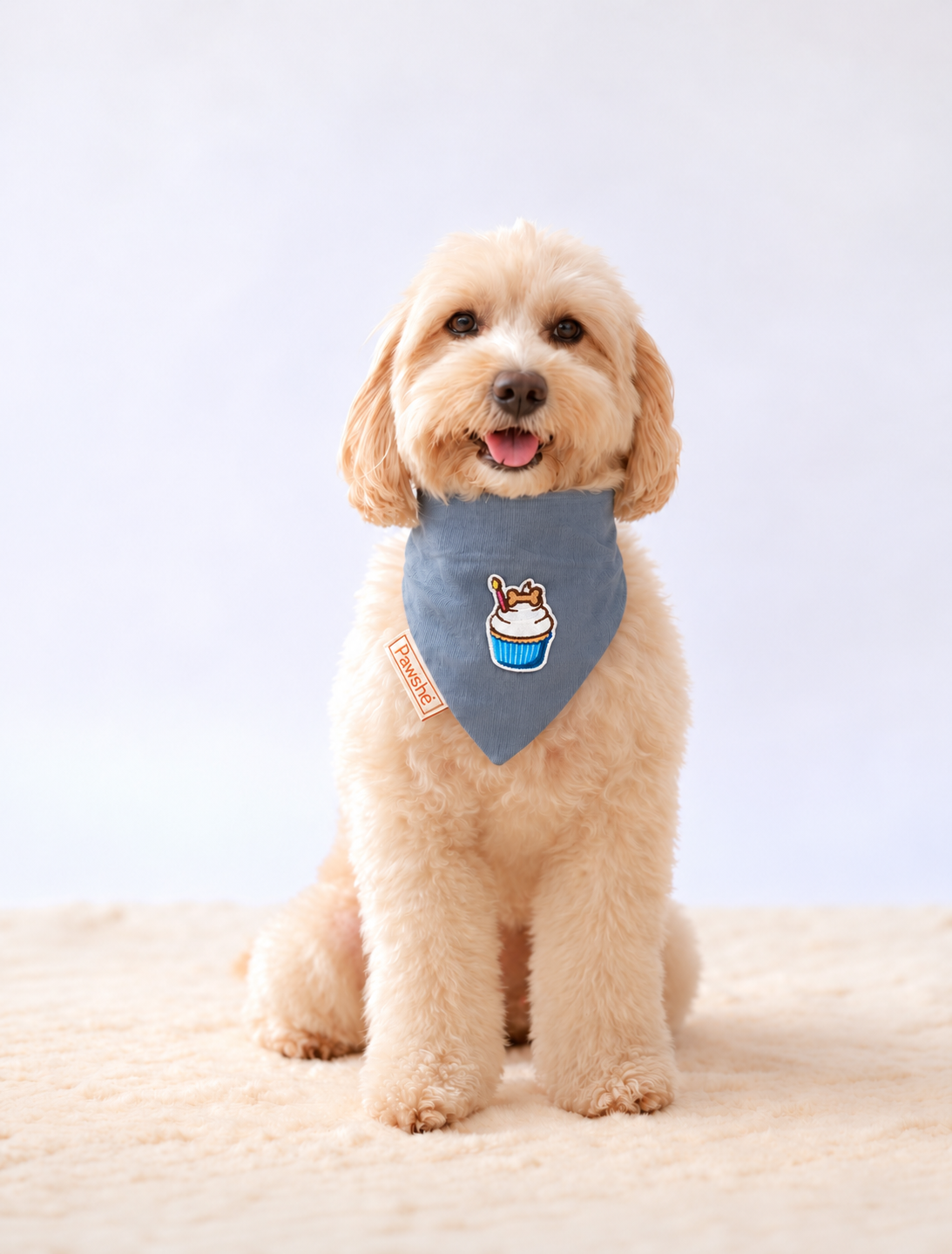 Corduroy Bandana in Light Blue with velcro patch – Cupcake patch