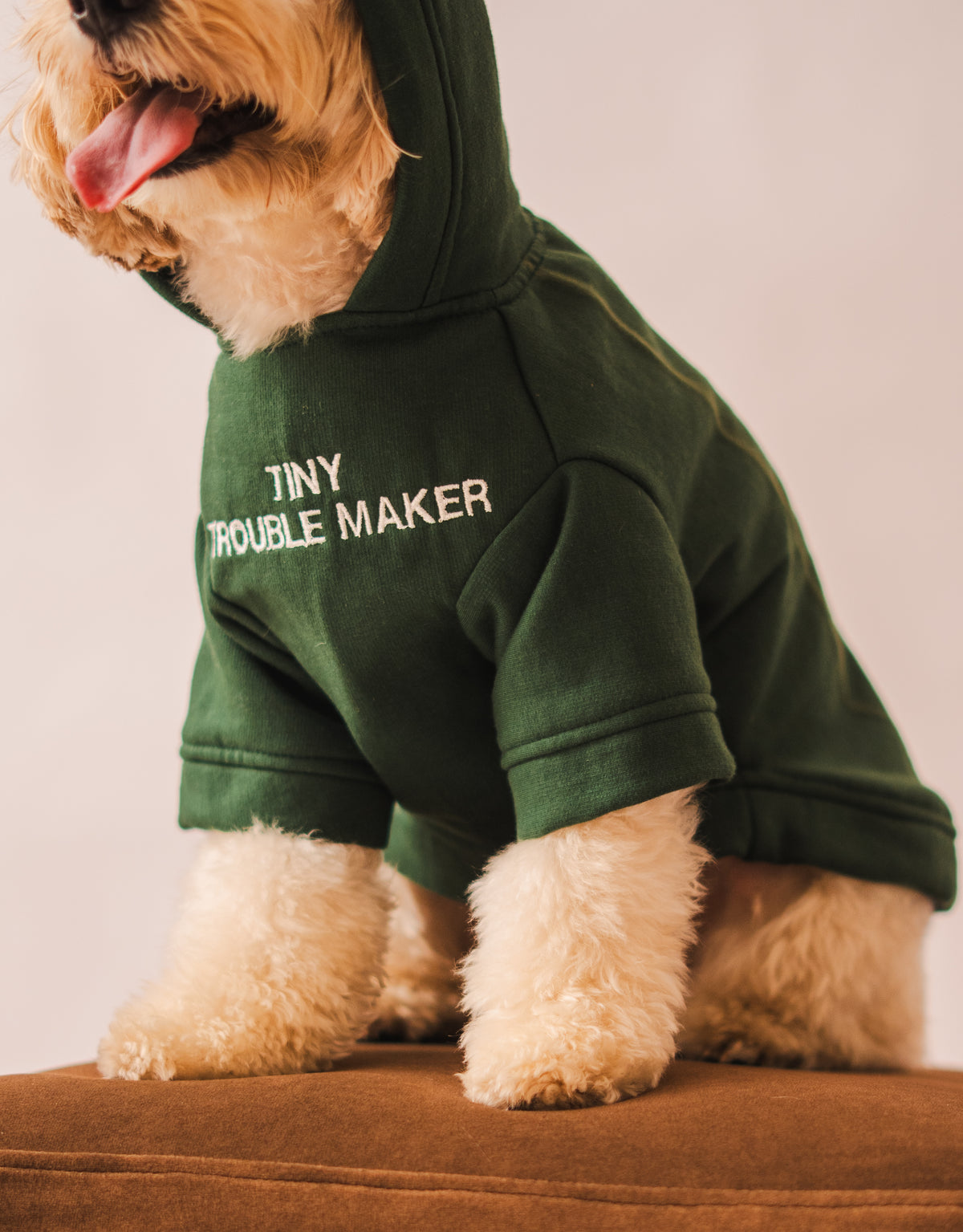 Hoodie in Olive Green on a dog – Tiny Trouble Maker embroidery, close-up