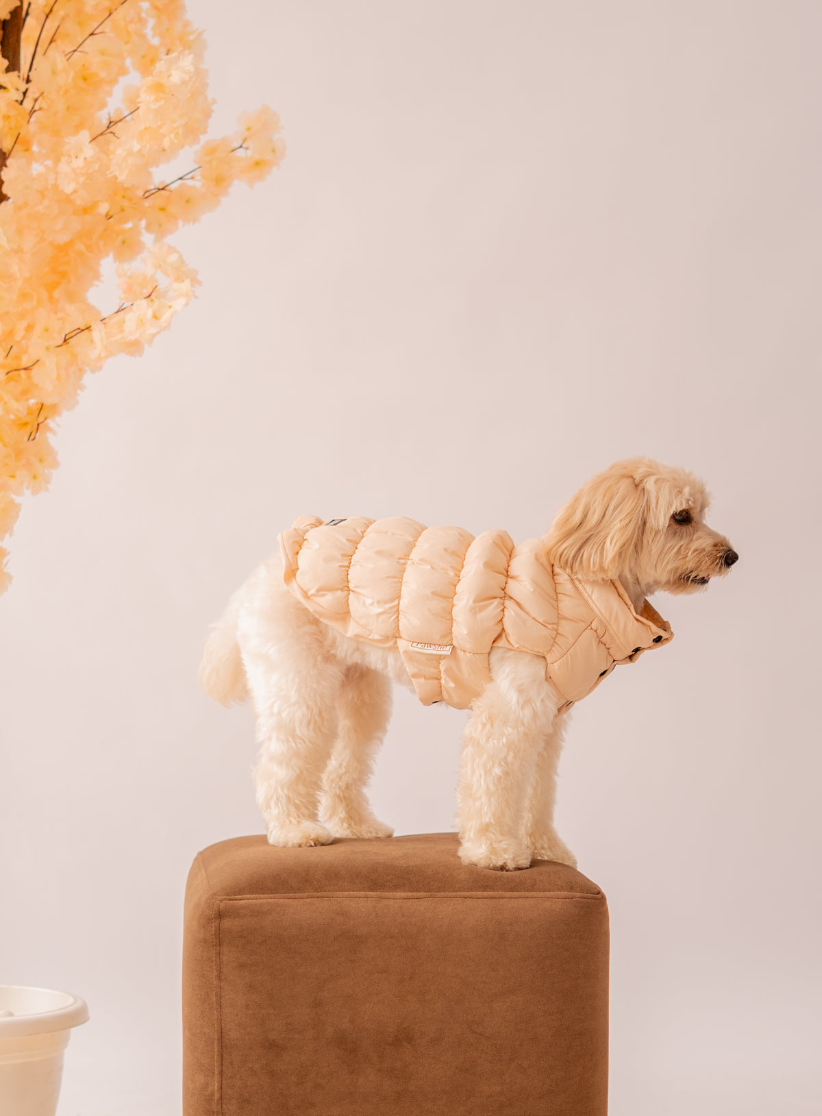 Puffer Jacket in Cream on a dog – view 5