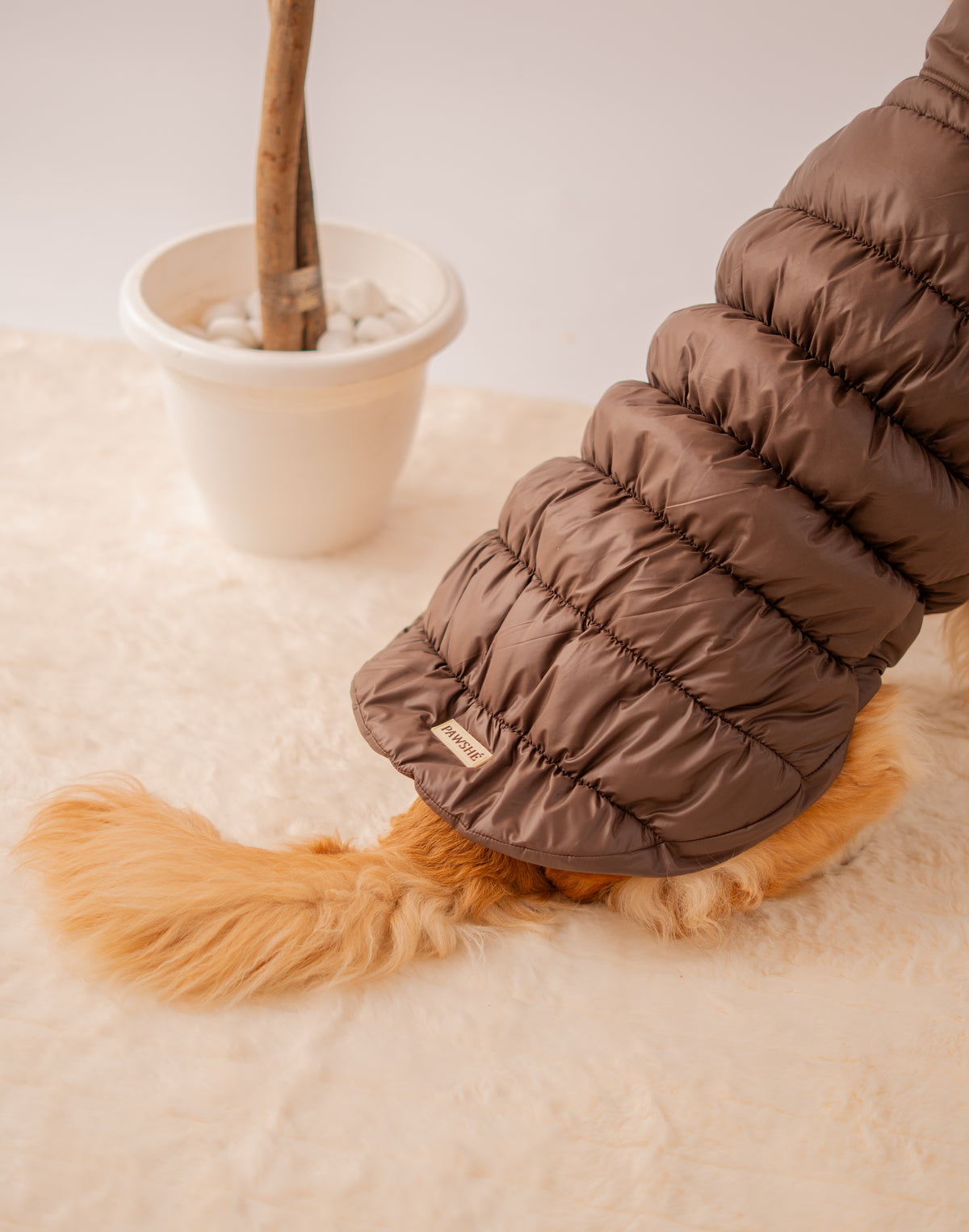 Puffer Jacket in Brown on a dog – view 4