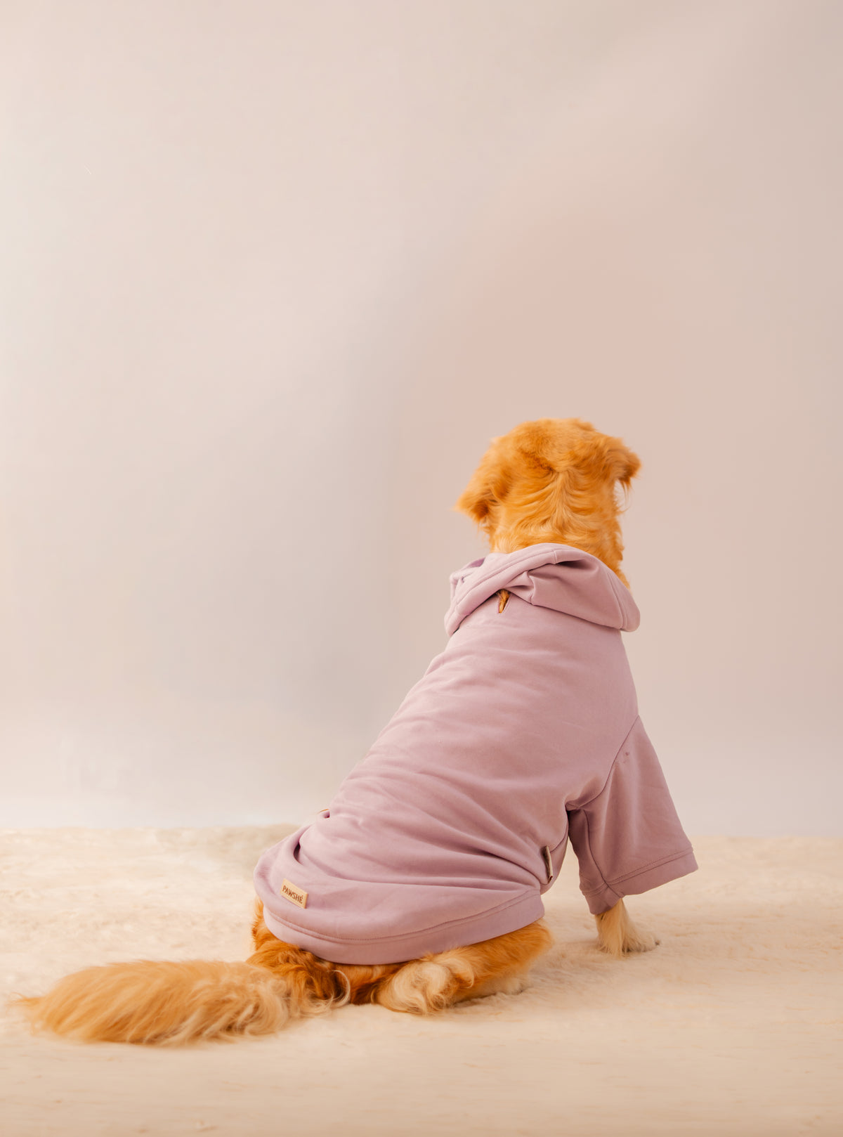 Hoodie in Lavender on a dog – view 4