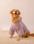 Hoodie in Lavender on a dog – I'm Just A Baby embroidery