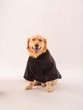 Velvet Corduroy Sweatshirt in Black on a dog