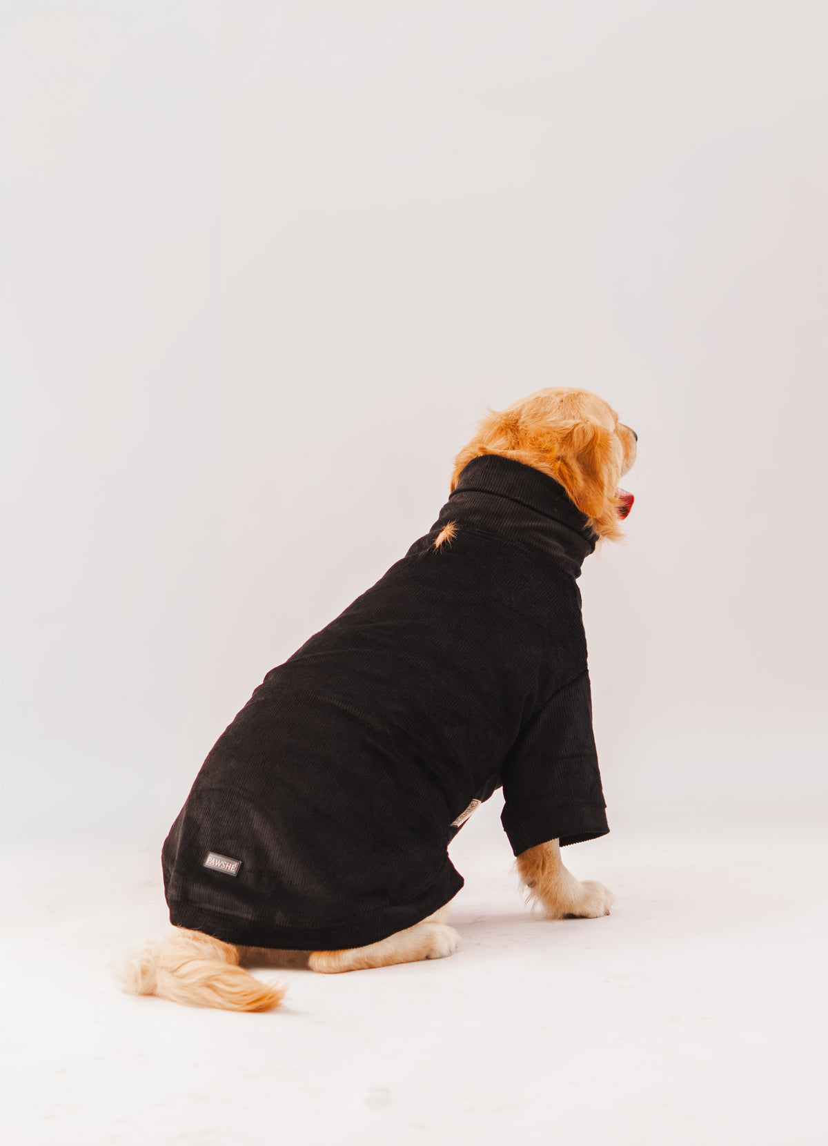 Velvet Corduroy Sweatshirt in Black on a dog – view 3