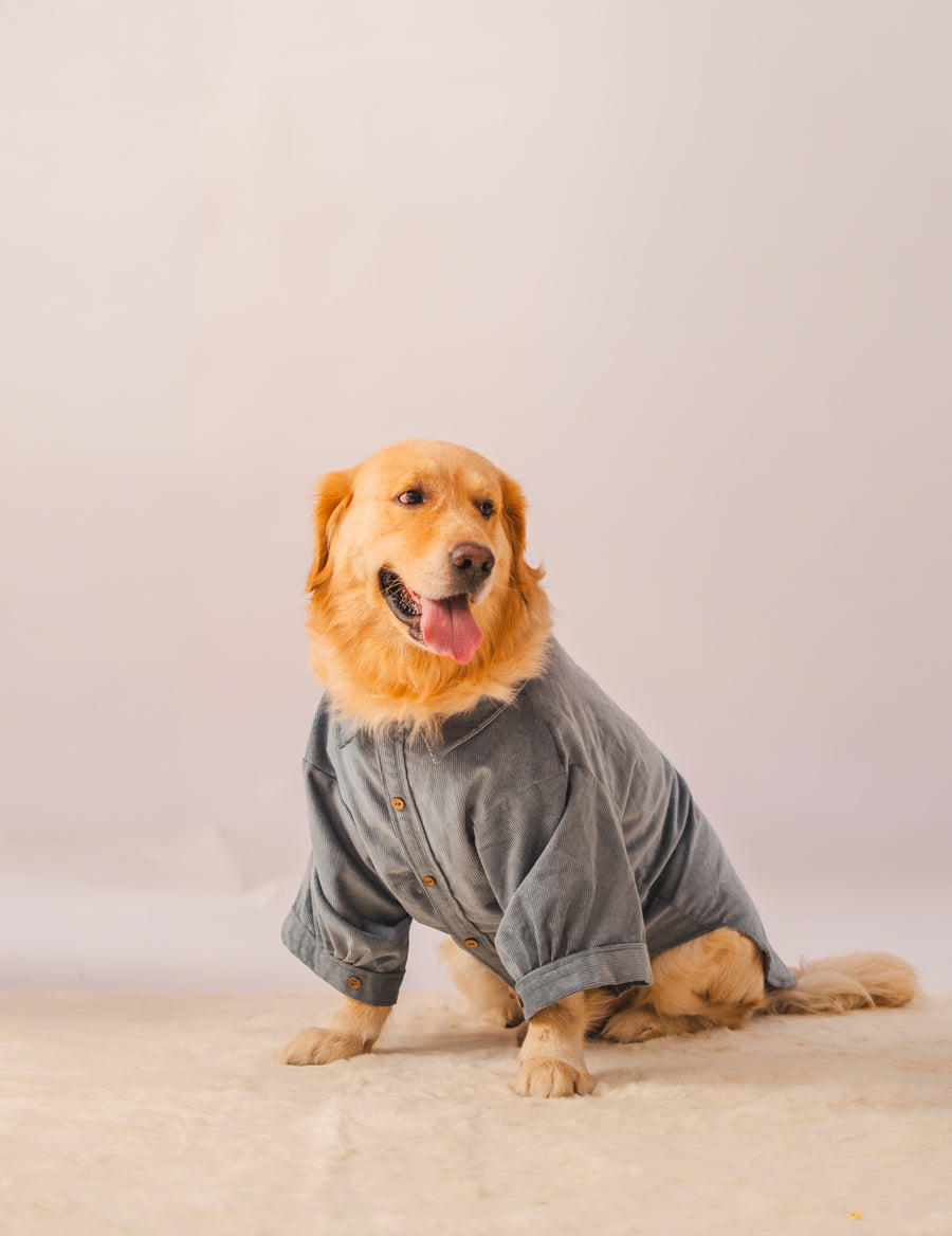 Corduroy Shirt