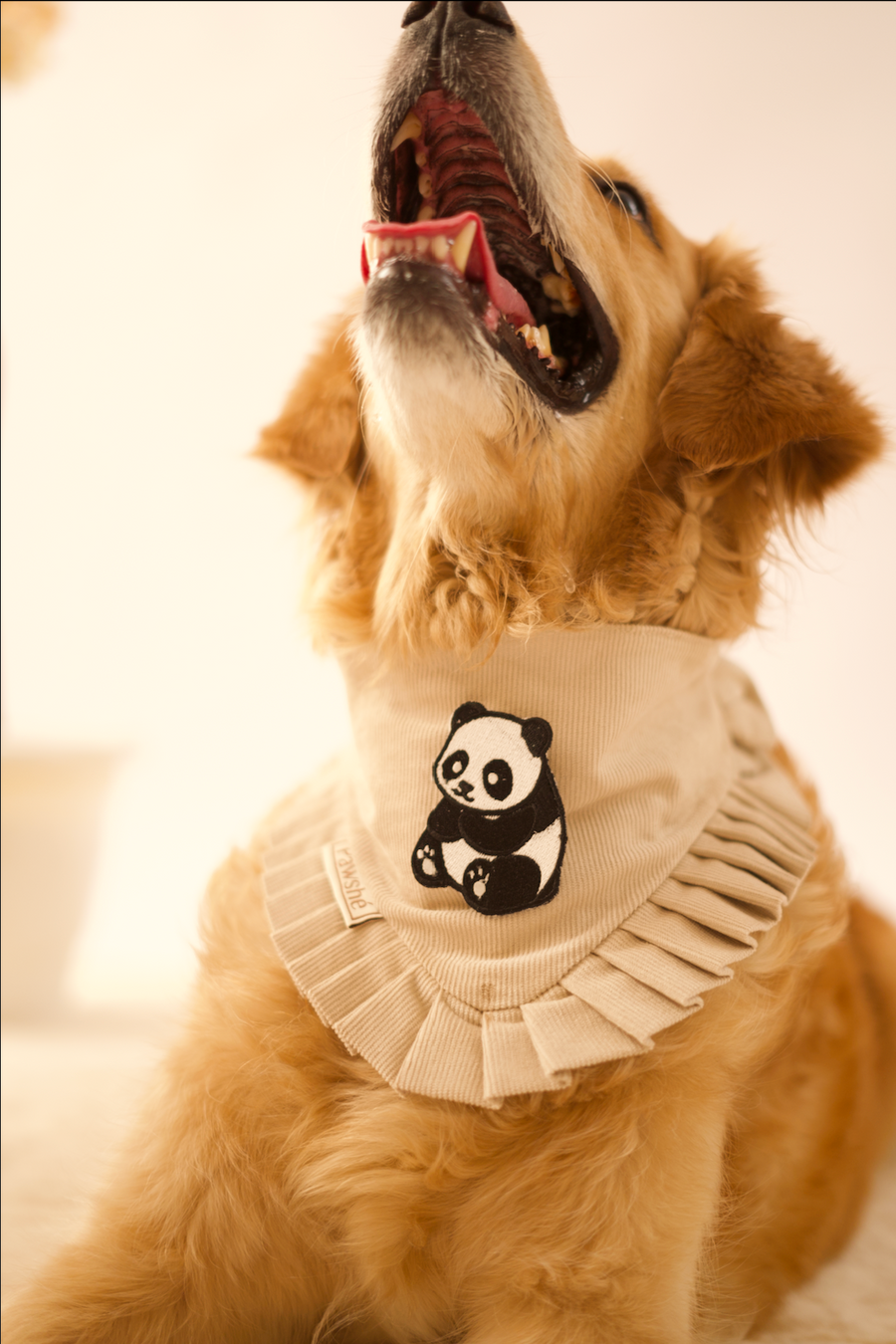 Panda Frill