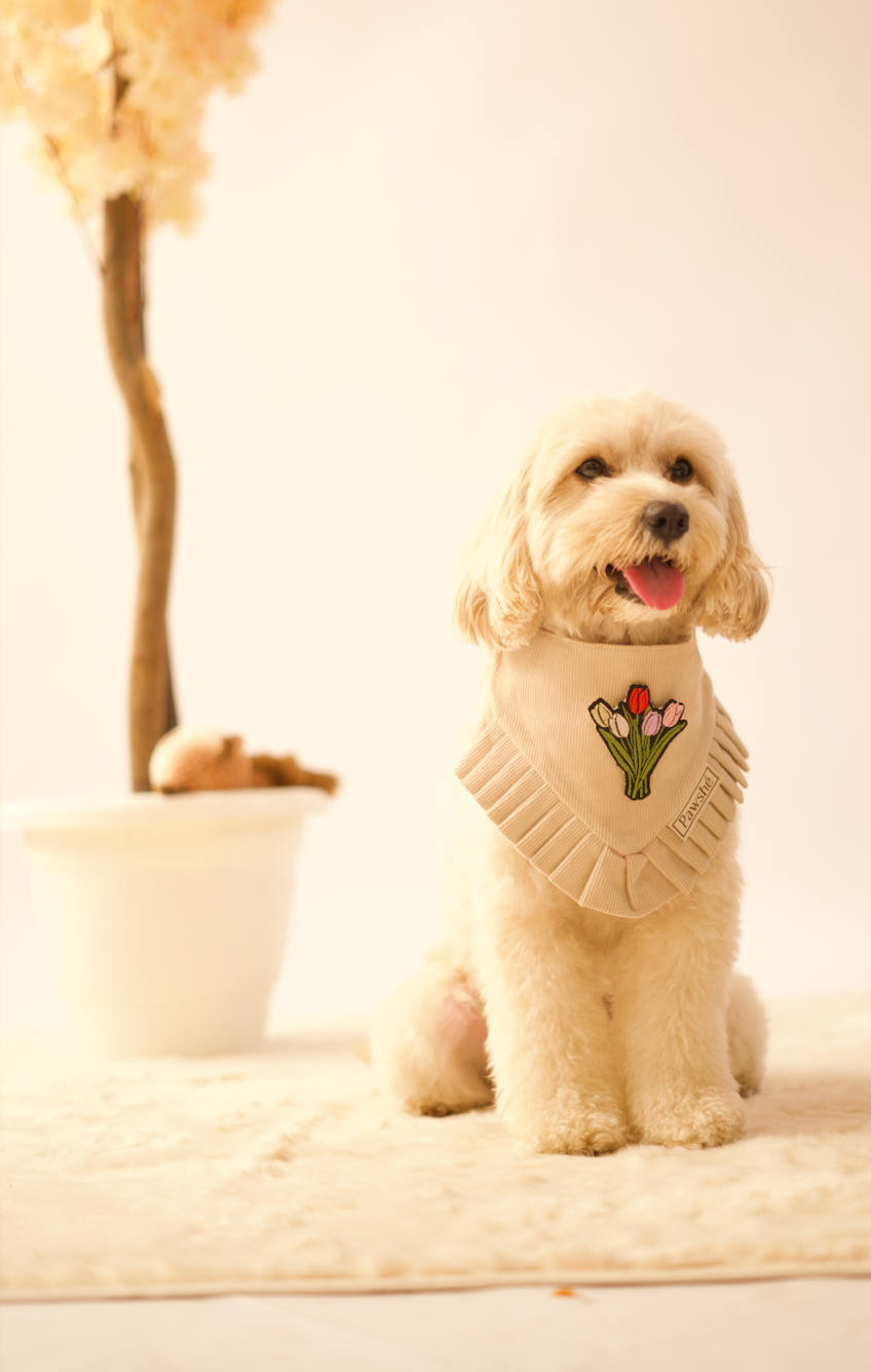 Corduroy Bandana in Cream with velcro patch – Flowers patch, view 2