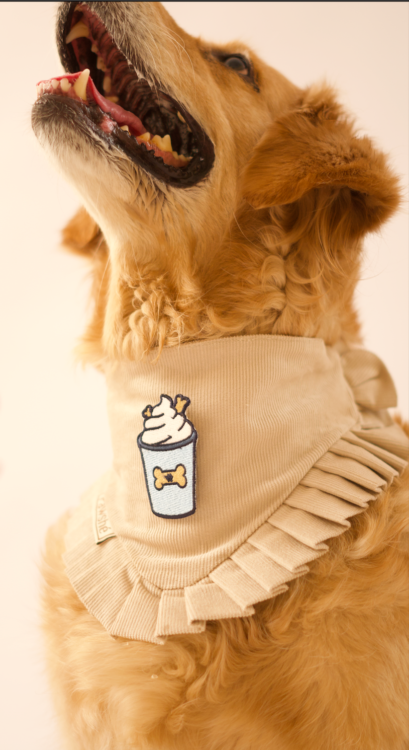 Corduroy Bandana in Cream with velcro patch – Puppuccino patch, close-up